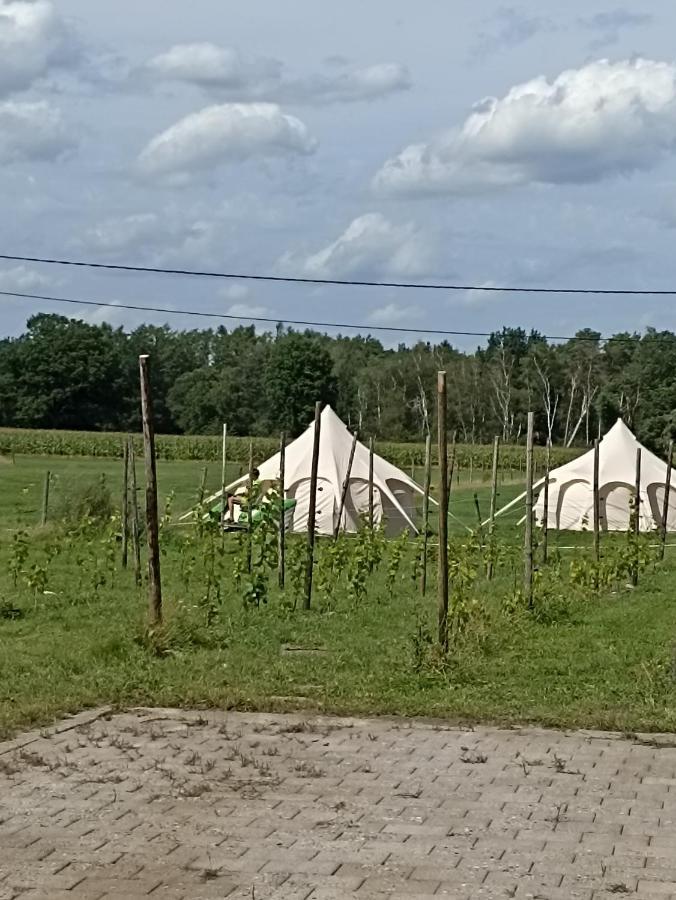 Natuur-Like Glamping In Bosland Pelt Екстер'єр фото