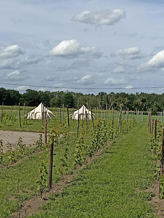 Natuur-Like Glamping In Bosland Pelt Екстер'єр фото