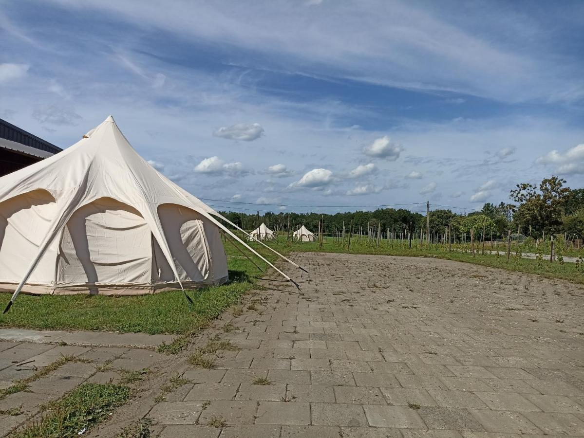 Natuur-Like Glamping In Bosland Pelt Екстер'єр фото