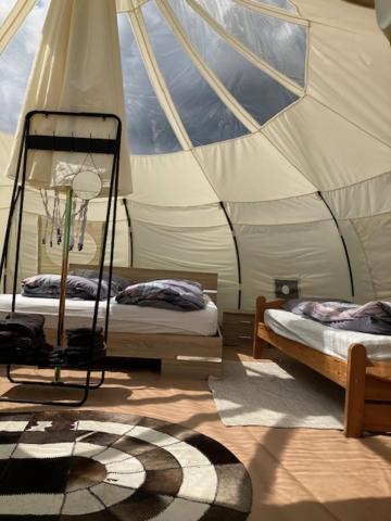 Natuur-Like Glamping In Bosland Pelt Екстер'єр фото